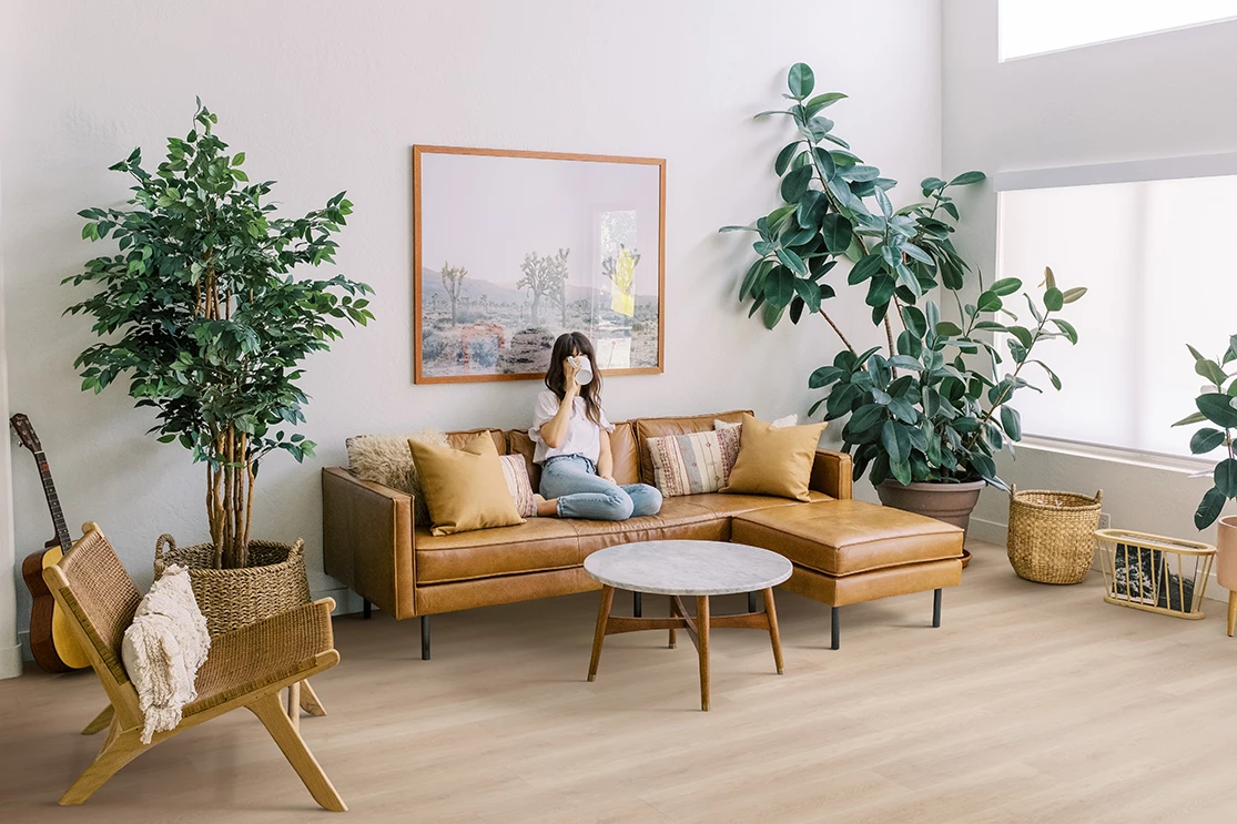 ivalo amaranth - carousel feb